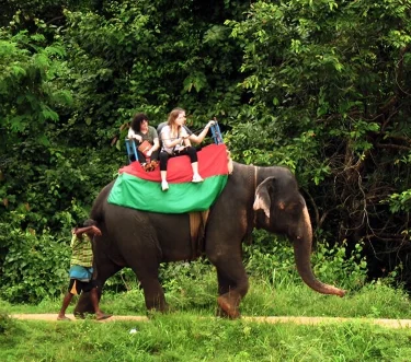 Elephant Rides in Sri Lanka